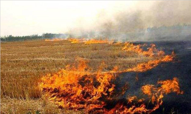辛集市两村通过全国民主法治示范村全面复核