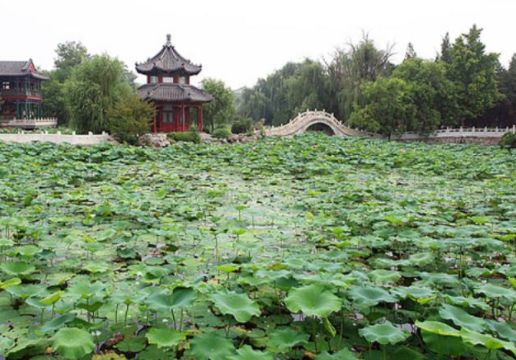 善美保定 航拍保定美景