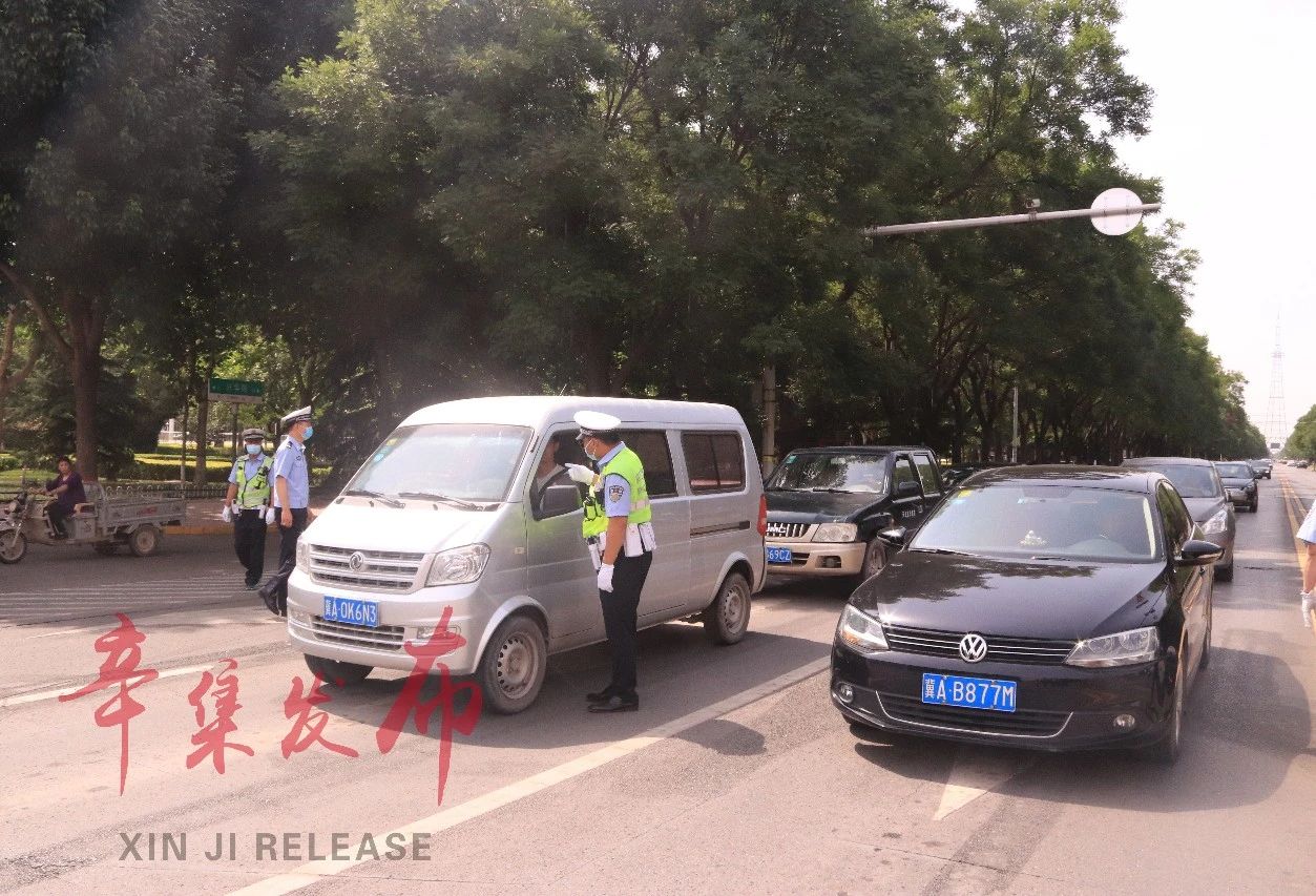 罚款50元！辛集交警开始抓拍啦