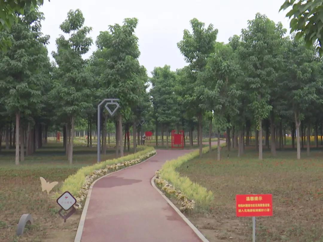 占地50亩！我市新建一文化园！