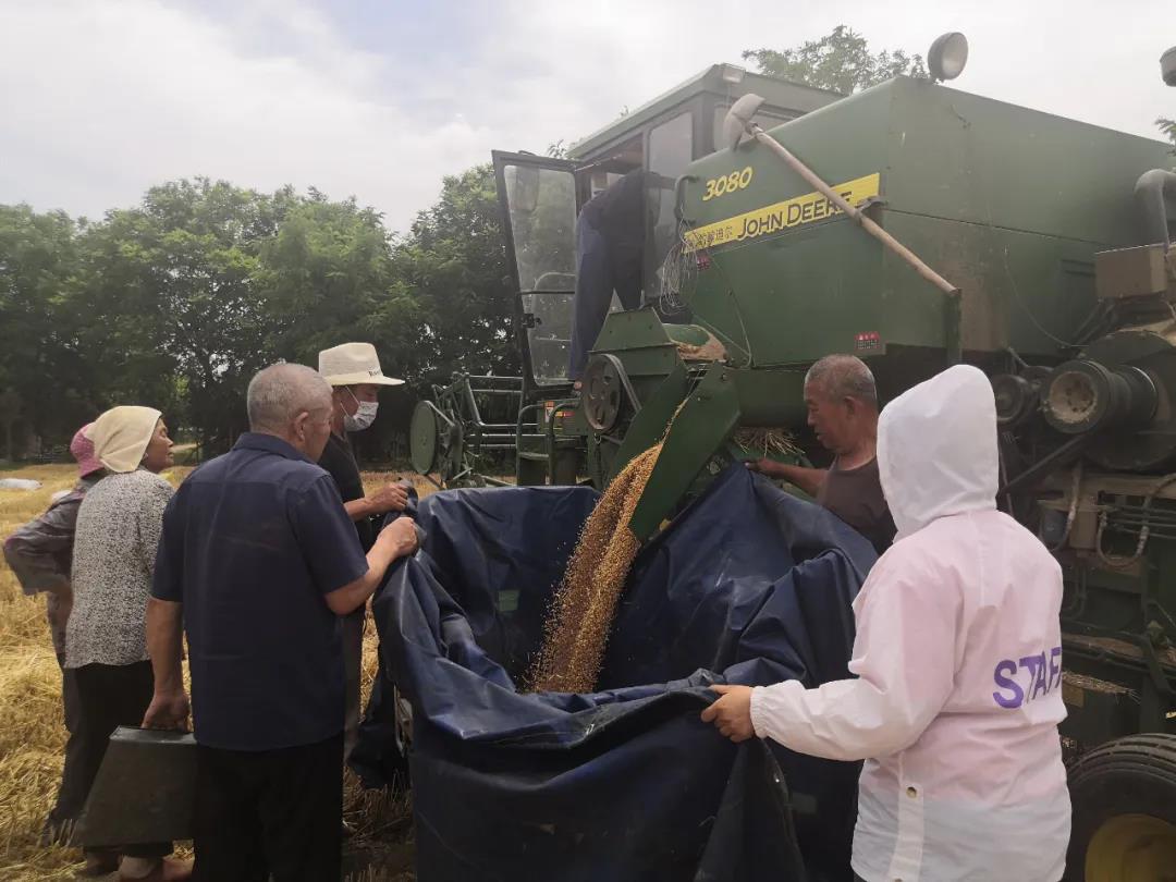 增产81.2万公斤!今年又是一个丰收年