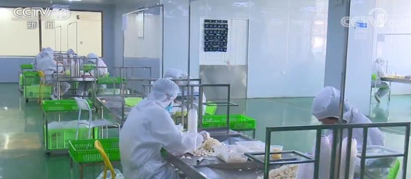 中西部28661个扶贫龙头企业复工率98% 吸纳贫困人口就业82.4万人