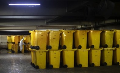 【中国稳健前行】生态治理成效在疫情大考中凸显