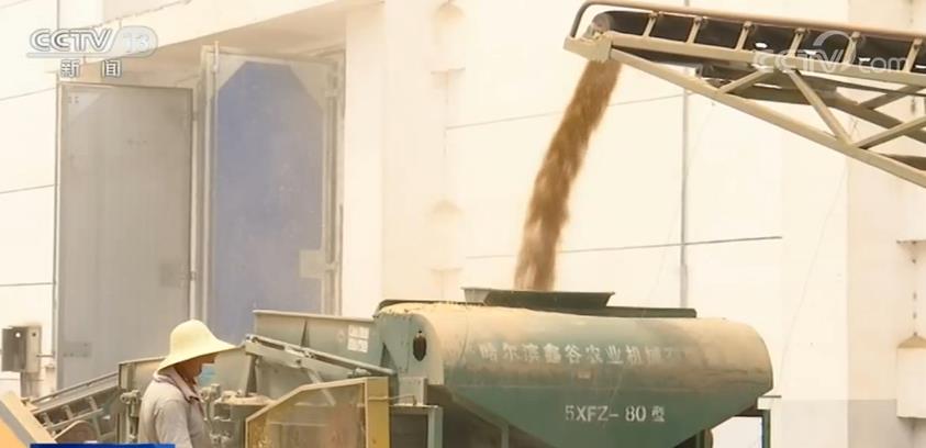 确保储粮安全度夏和粮库防汛不出问题 各地采取有效应对