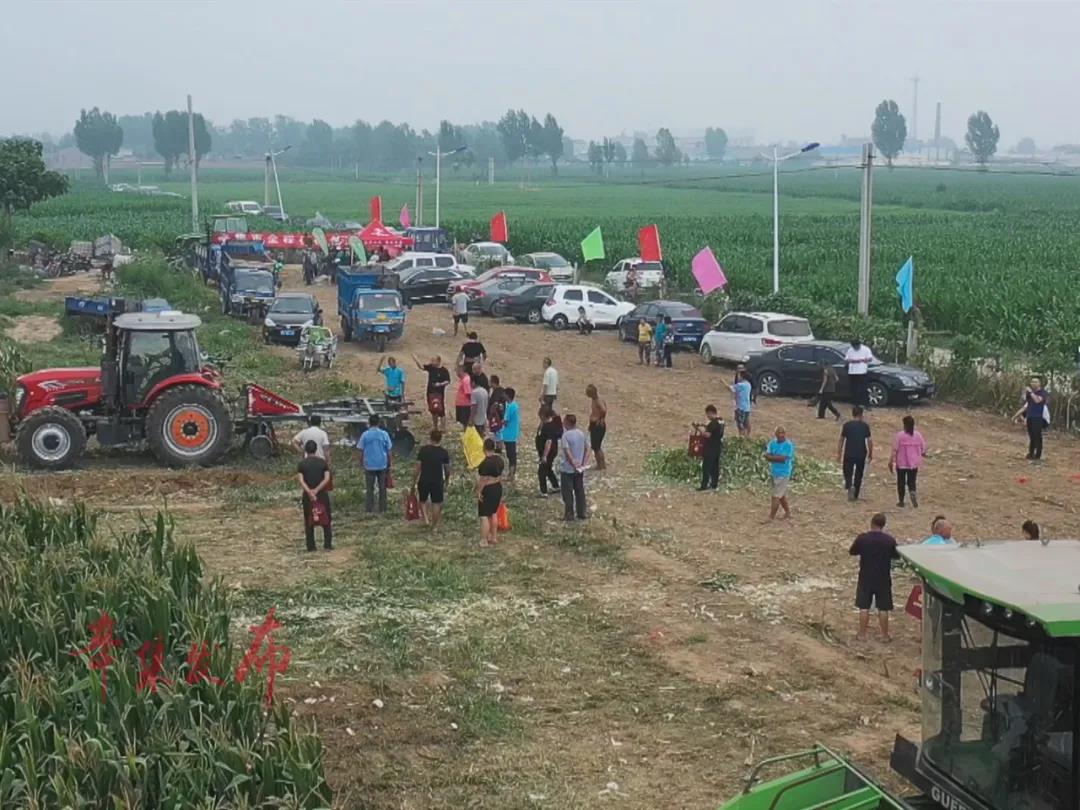 事发辛集!大热天儿的他们在干嘛?