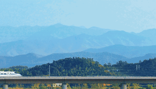 辛集出发！这列高铁直达上海、苏州、南京、常州……