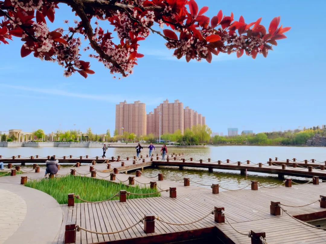 关乎辛集64万人！这块“金字招牌”不一般！