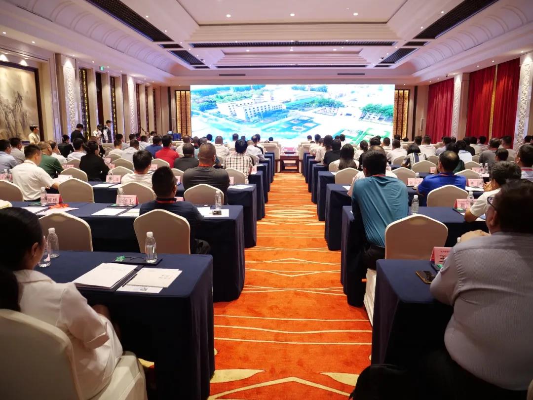 10.11亿！辛集正快速融入长三角…