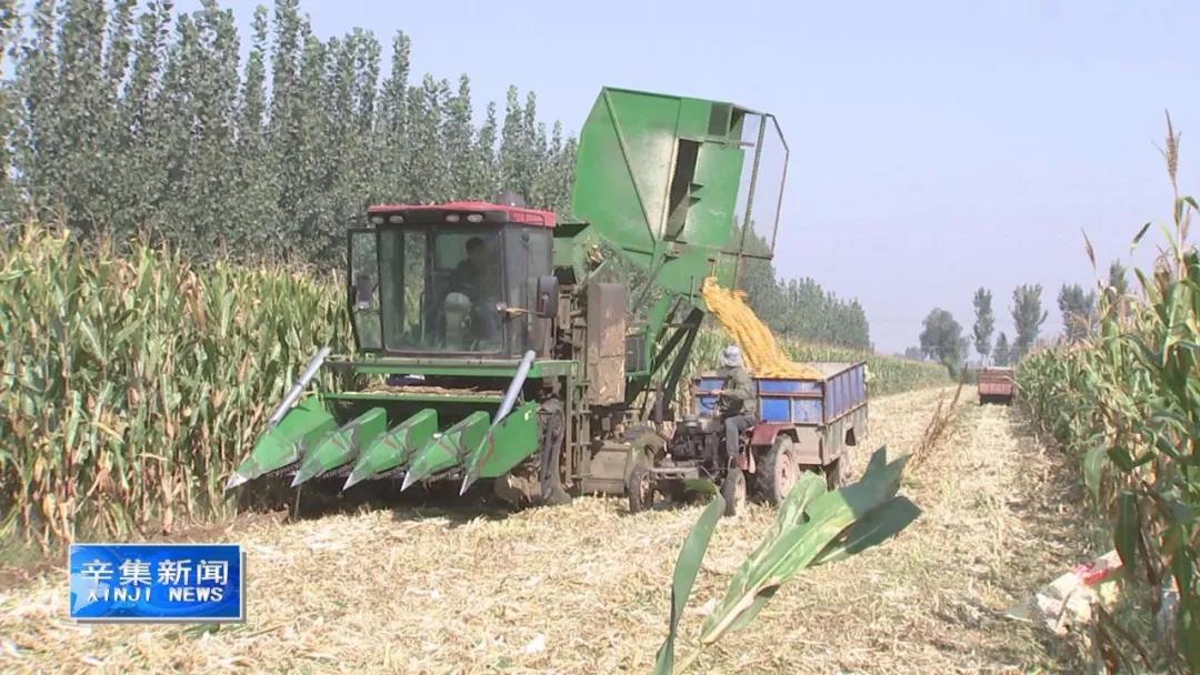 市委书记王现坤督导秋收和秸秆禁烧工作