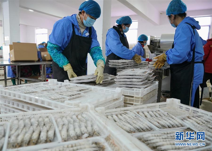 (经济)(3)河北曹妃甸:生态混养促增收