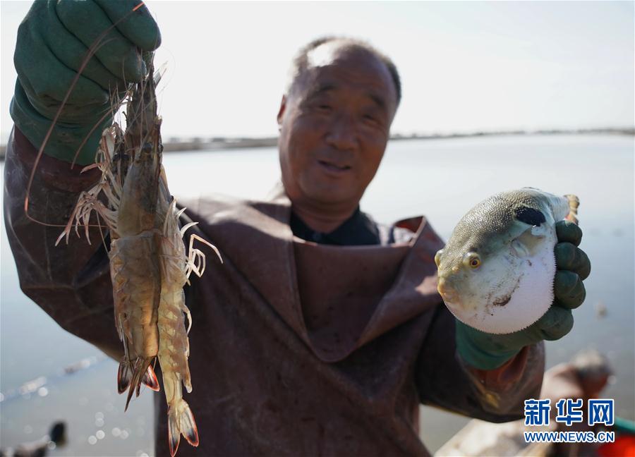 (经济)(1)河北曹妃甸:生态混养促增收