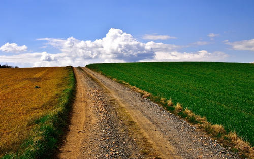 乡村变得“净、绿、美”（走向我们的小康生活）