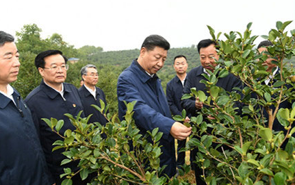 五年来，习近平这样关心扶贫产业