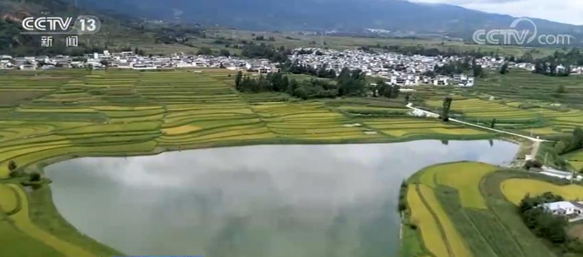 农业农村部：采取多种举措 确保我国水稻产量稳定在2亿吨以上