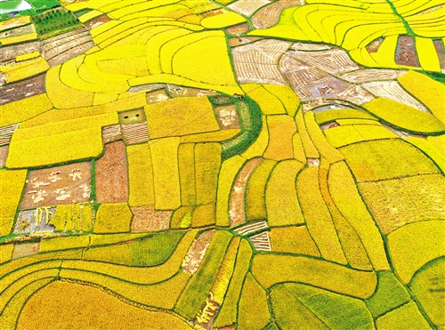 多项指标由负转正 经济复苏领先全球