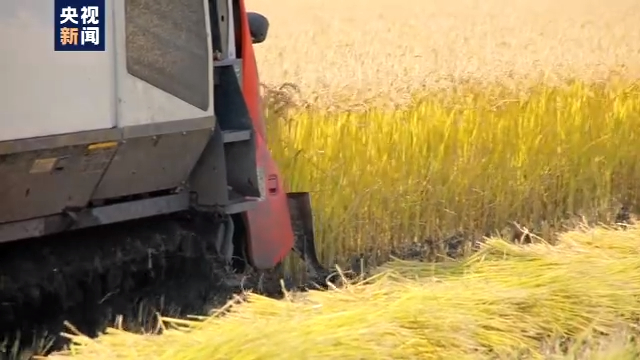 农业农村部：我国将确保水稻产量稳定在2亿吨以上