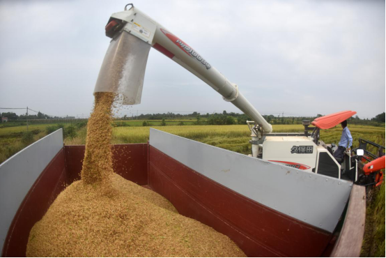 20201021701846.png 2.png