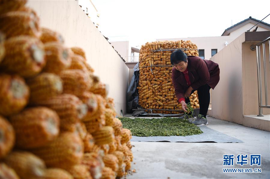 (社会)(4)河北阜平:易地扶贫搬迁奔小康