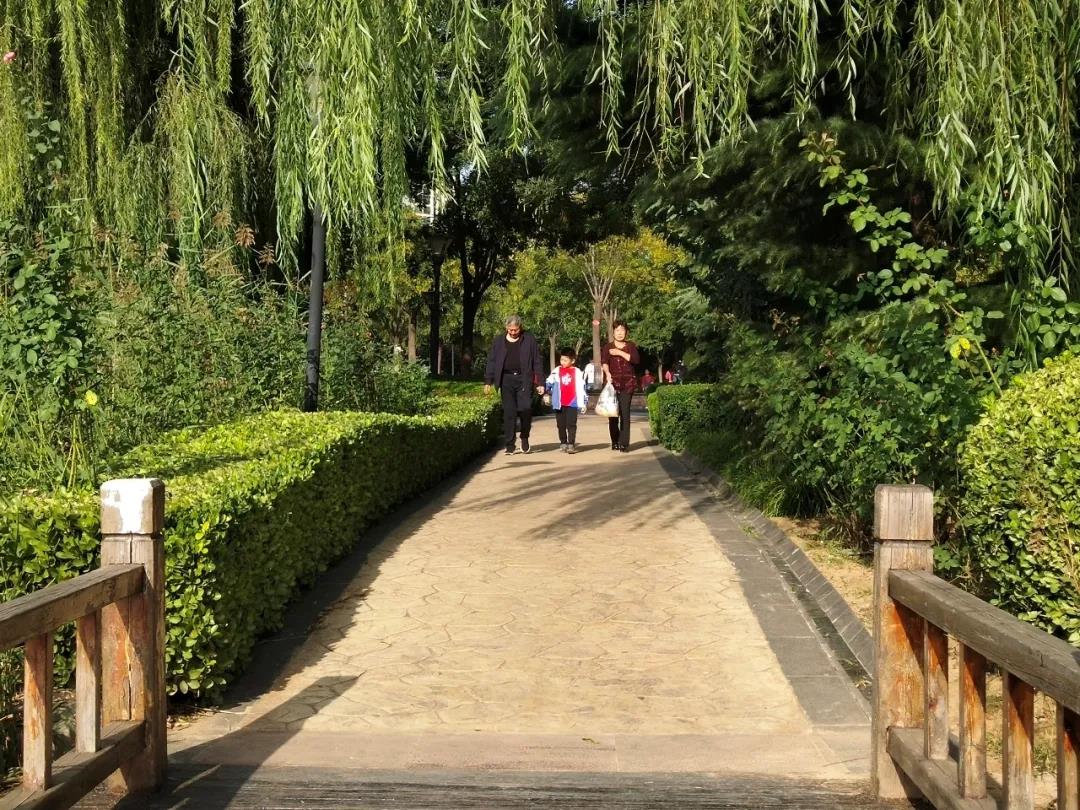 20201104926877.jpg 20201104926877.jpg