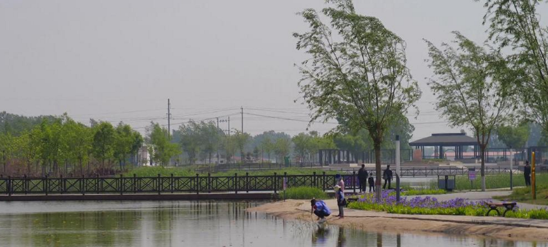 我市锦绣公园获评“河北省生态环境教育基地”