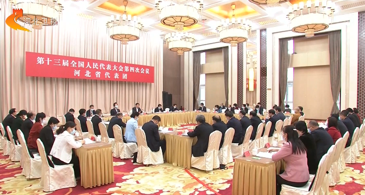 河北省代表团审议关于政府工作报告的决议草案等