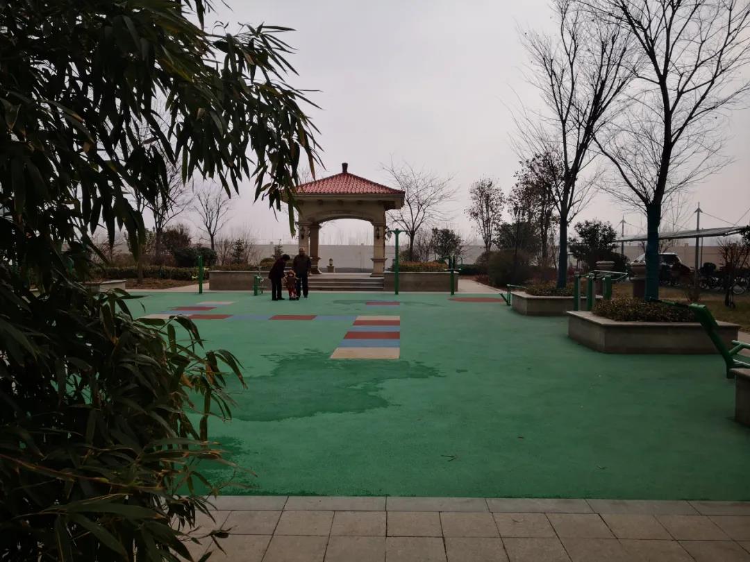 20210312538265.jpg