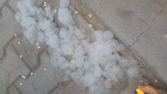 微信图片_20210409095008.gif