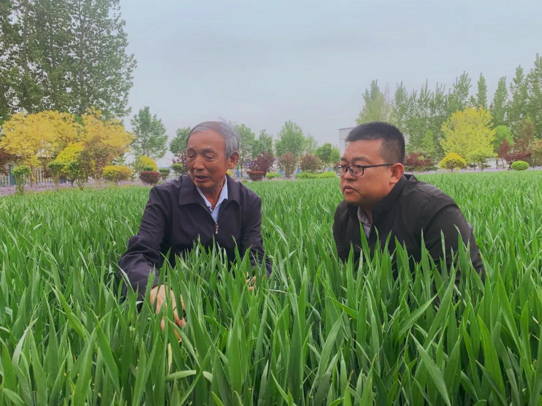 辛集这个村出名啦！