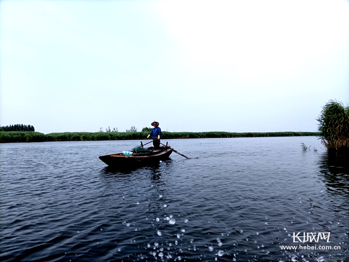 00302826523_274d886a