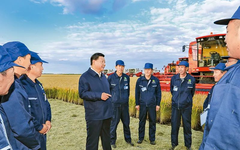 20220402681744.jpg 7.jpg