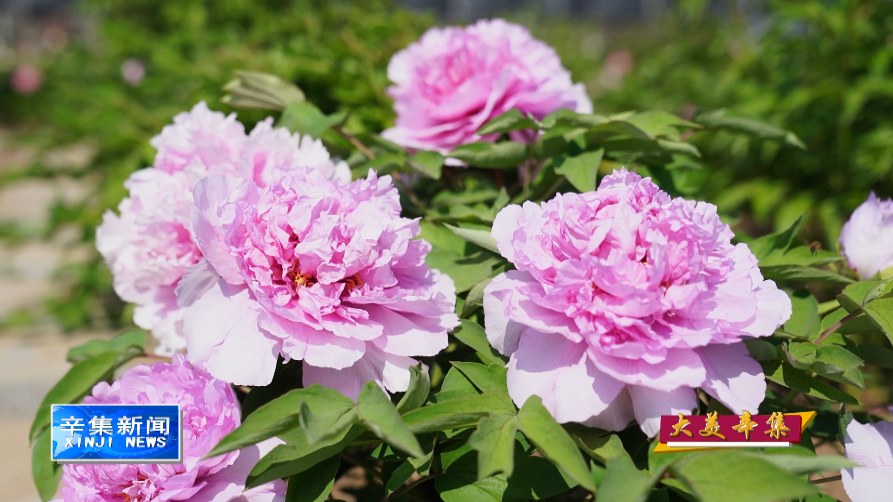 20220427425618.png image.png