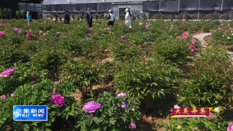 20220427876779.png image.png