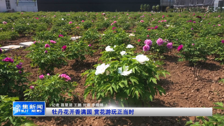 20220427930136.png image.png