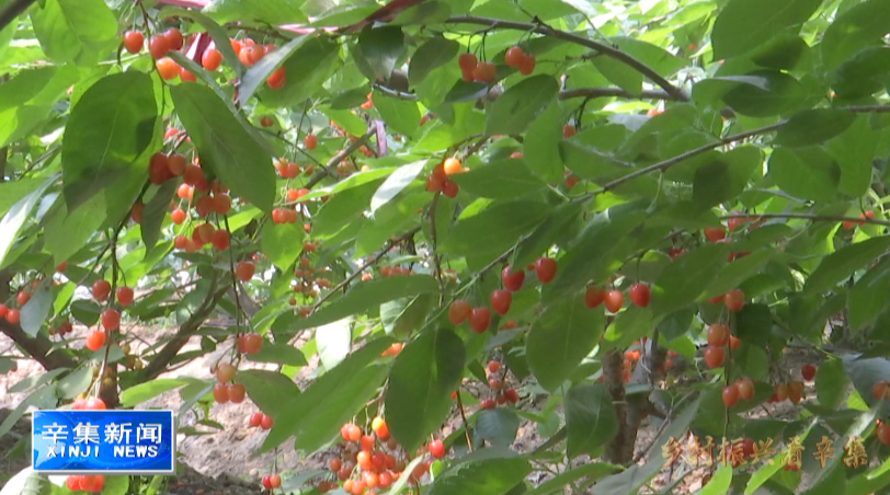 20220516339756.png image.png