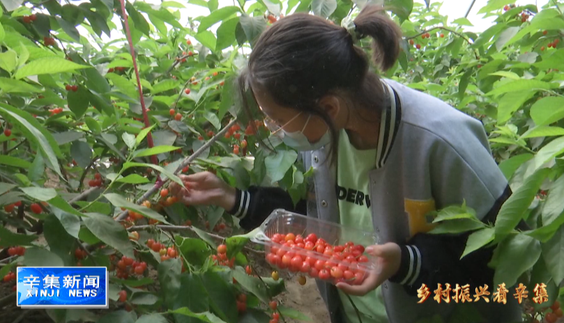 20220516419489.png image.png