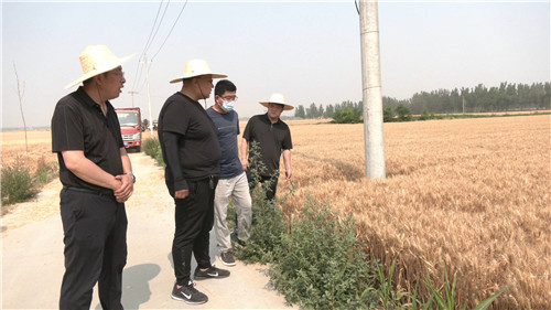 1655601560156974.jpg 微信图片_20220619091608.jpg