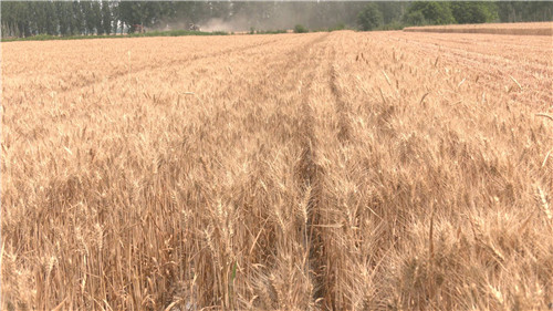 1655601574292541.jpg 微信图片_20220619091615.jpg