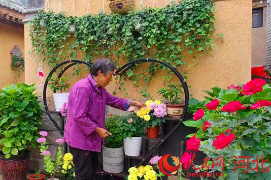 河北省阜平县龙泉关镇骆驼湾村村民唐宗秀的小院。 人民网 周博摄