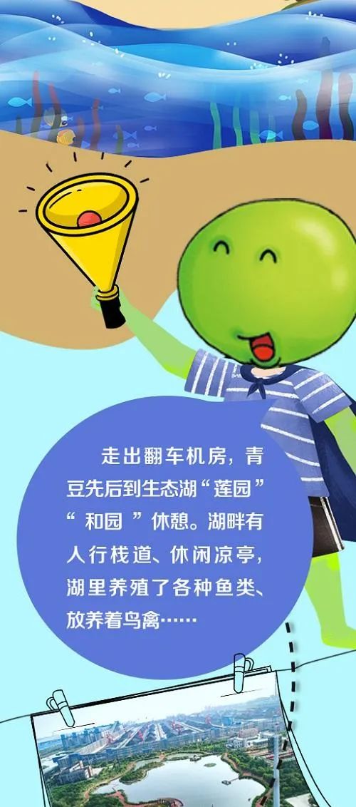 20220905153475.jpg 17.jpg