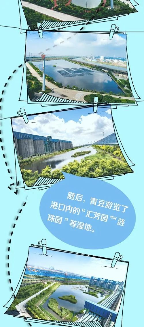 20220905914852.jpg 18.jpg