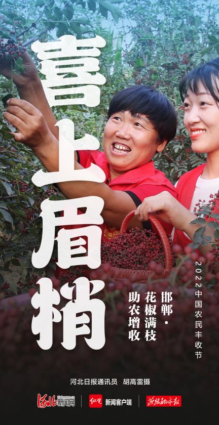 7喜上眉梢.jpg