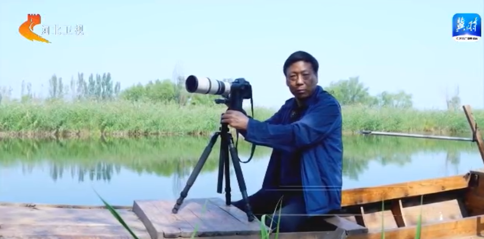 走雄安 看生态 | “水下森林”重塑和谐新生态