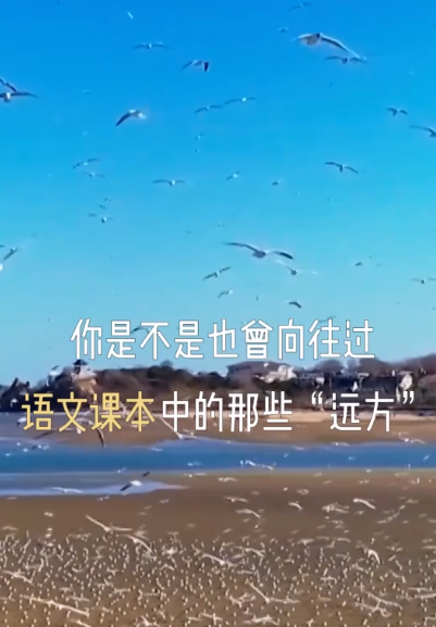 微信图片_20231002202506.png