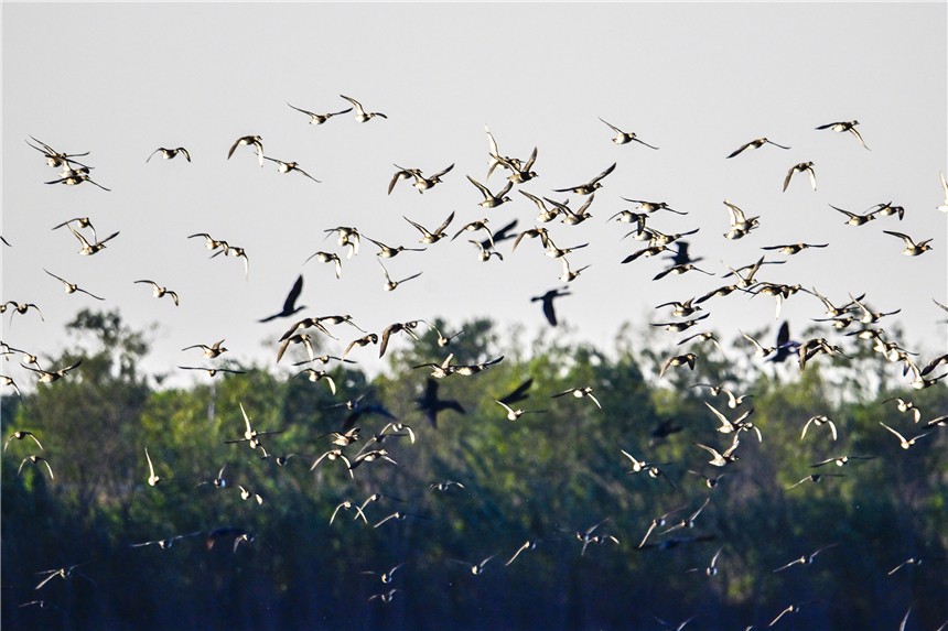 20231120230787.jpg 20231120230787.jpg