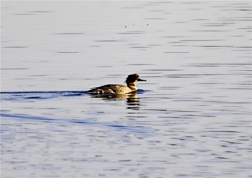 20231120318171.jpg 20231120318171.jpg