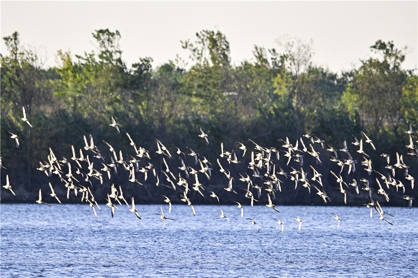 20231120399860.jpg 20231120399860.jpg