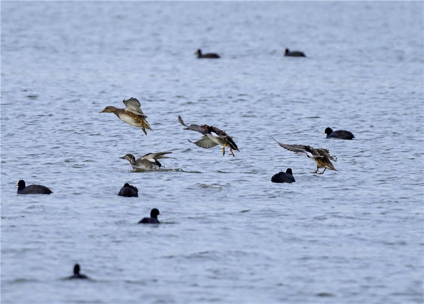 20231120503566.jpg 20231120503566.jpg