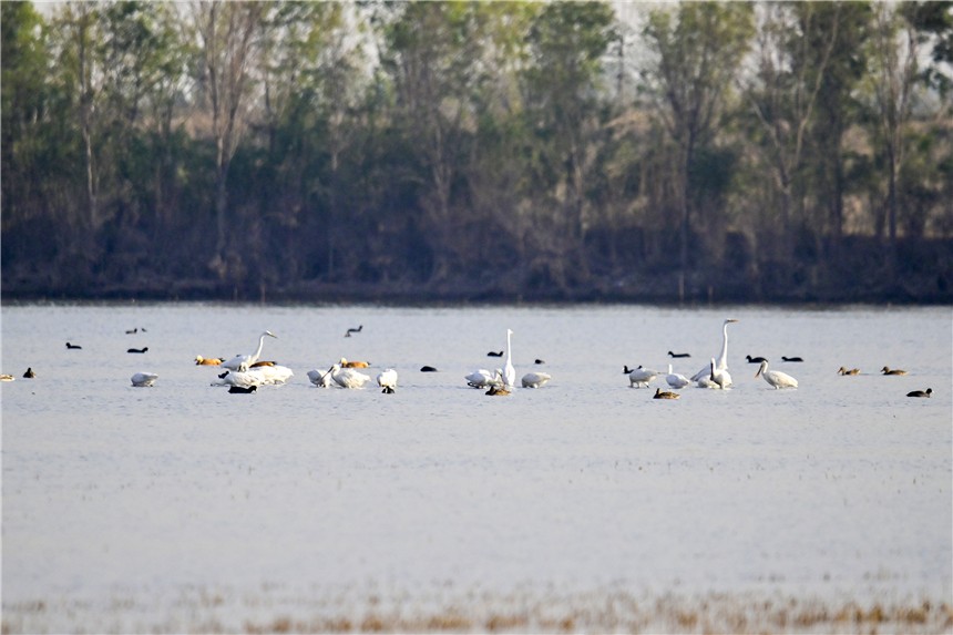 20231120706216.jpg 20231120706216.jpg