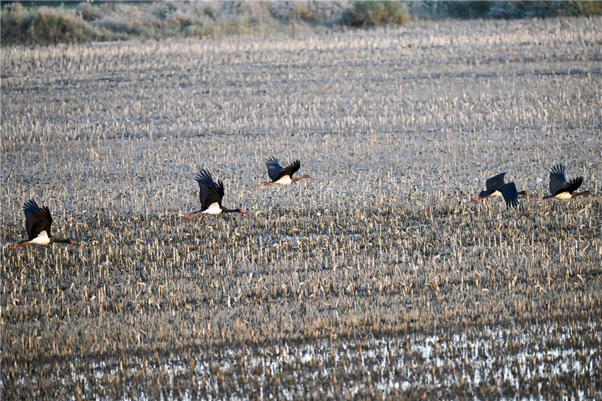 20231120824017.jpg 20231120824017.jpg