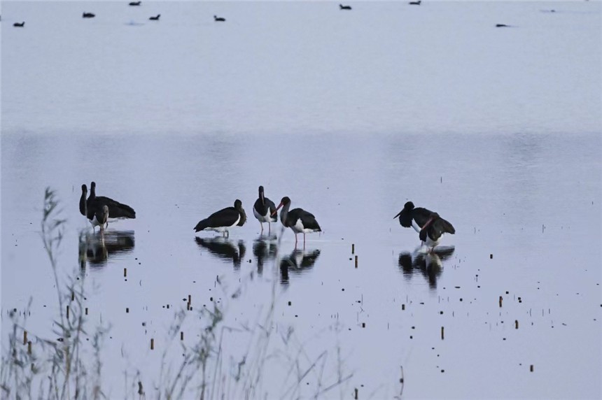 20231120839700.jpg 20231120839700.jpg